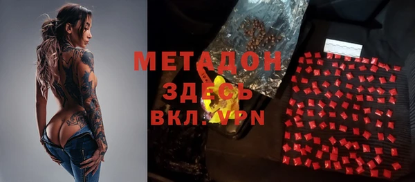 прущие грибы Абаза