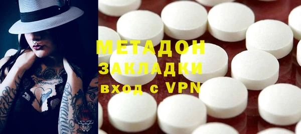 прущие грибы Абаза