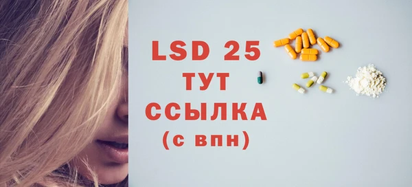 прущие грибы Абаза