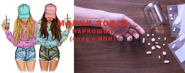 прущие грибы Абаза