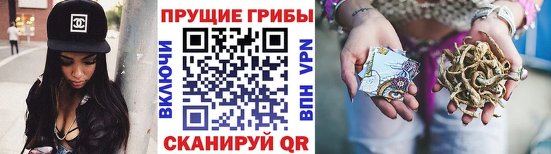 Галлюциногенные грибы MAGIC MUSHROOMS  купить   Лабинск 